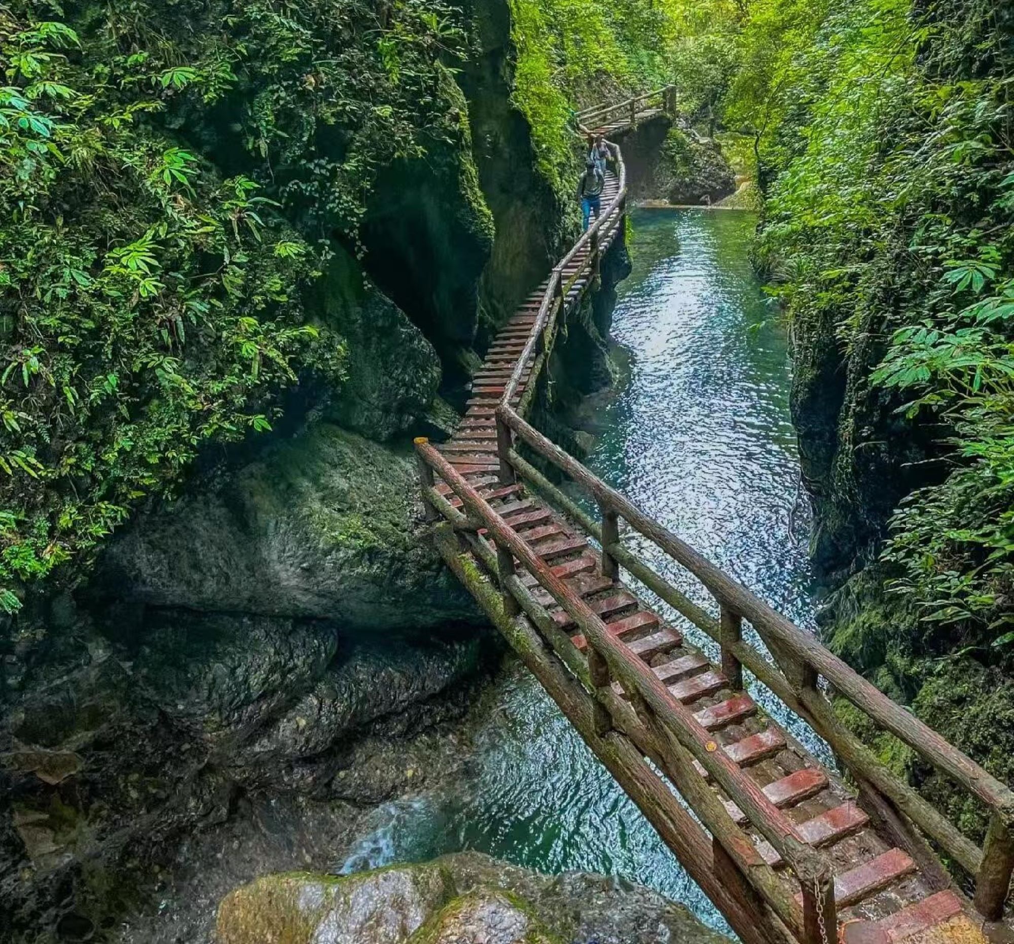 成都都江堰&青城山1日純玩（日遊雙景+探訪世界文化遺產+探秘中國著名水利工程+打卡網紅南橋+拜訪道教青城山+特色美食+成都往返）