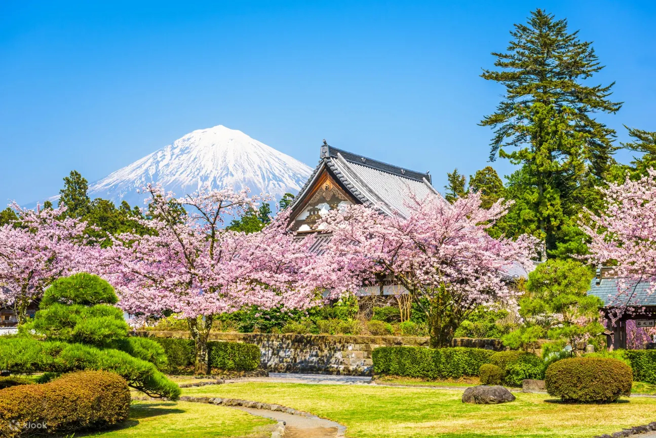 富士山私人定製一日遊（東京出發）