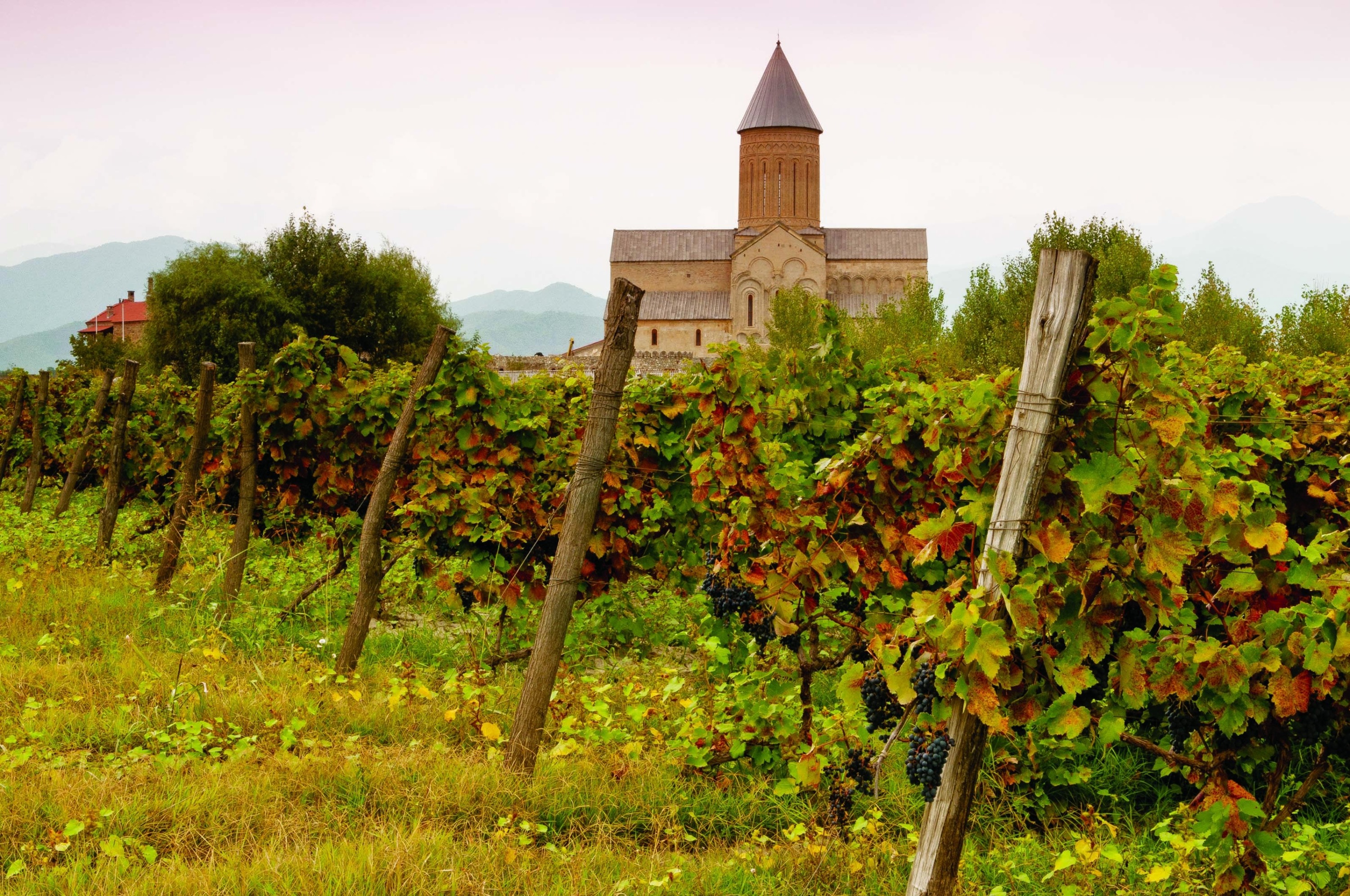 Tbilisi: Kakheti, Signaghi, & Chateau Tour with Wine Tasting
