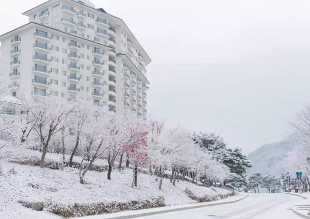 【早鳥】伊利希安單板／雙板滑雪＆雪橇一日遊（首爾出發）