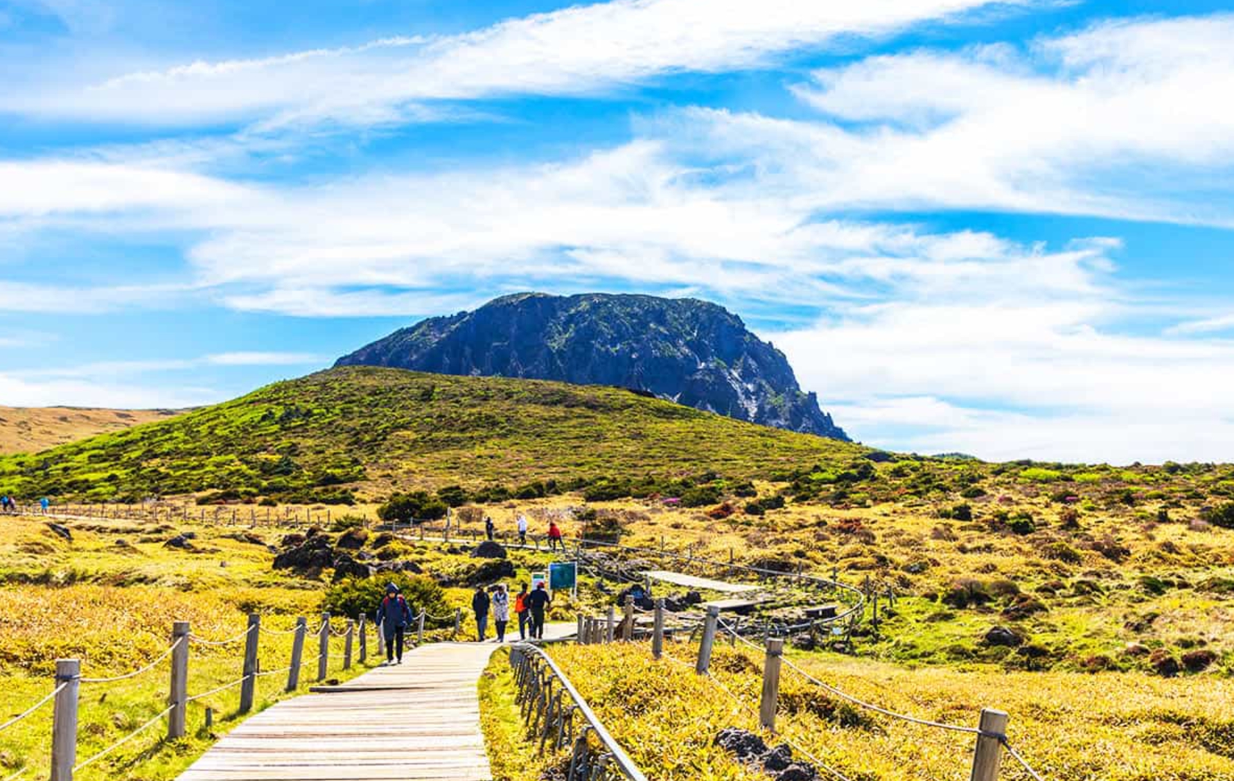 漢拏山 1100 高地被指定為拉姆薩濕地，在這裡您可以盡情擁抱微風與陽光，深度體驗大自然的療癒與放鬆。