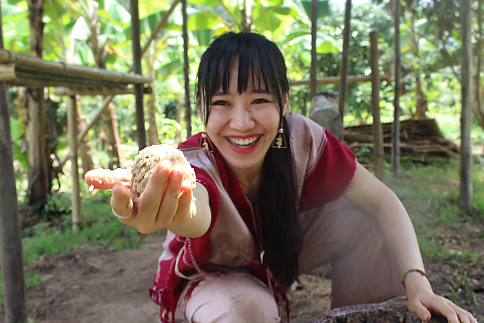 清邁克喬大象生態公園一日遊（清邁出發）