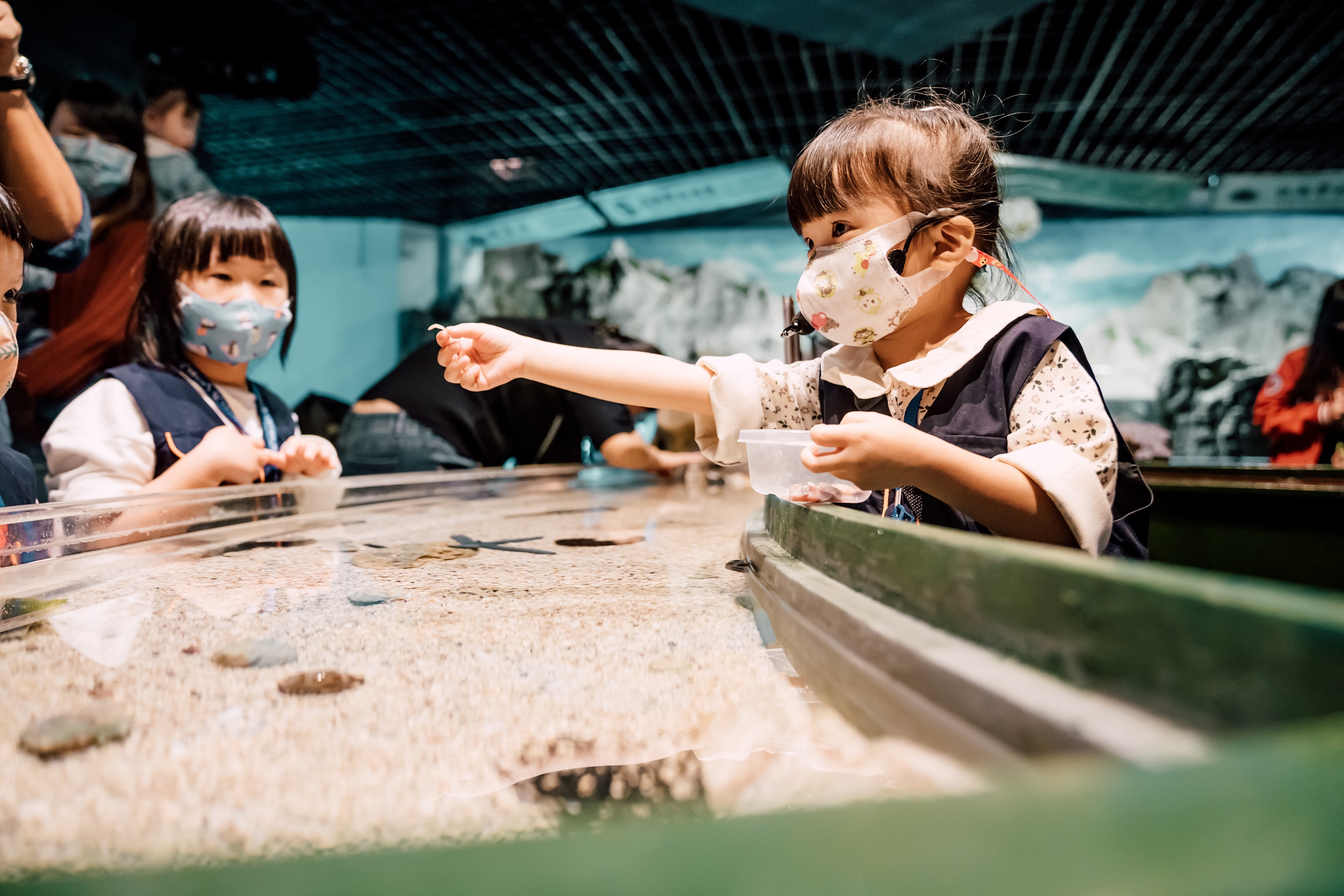 屏東海生館｜行程體驗：迷你解說員・魚你同行・夜巡海生館