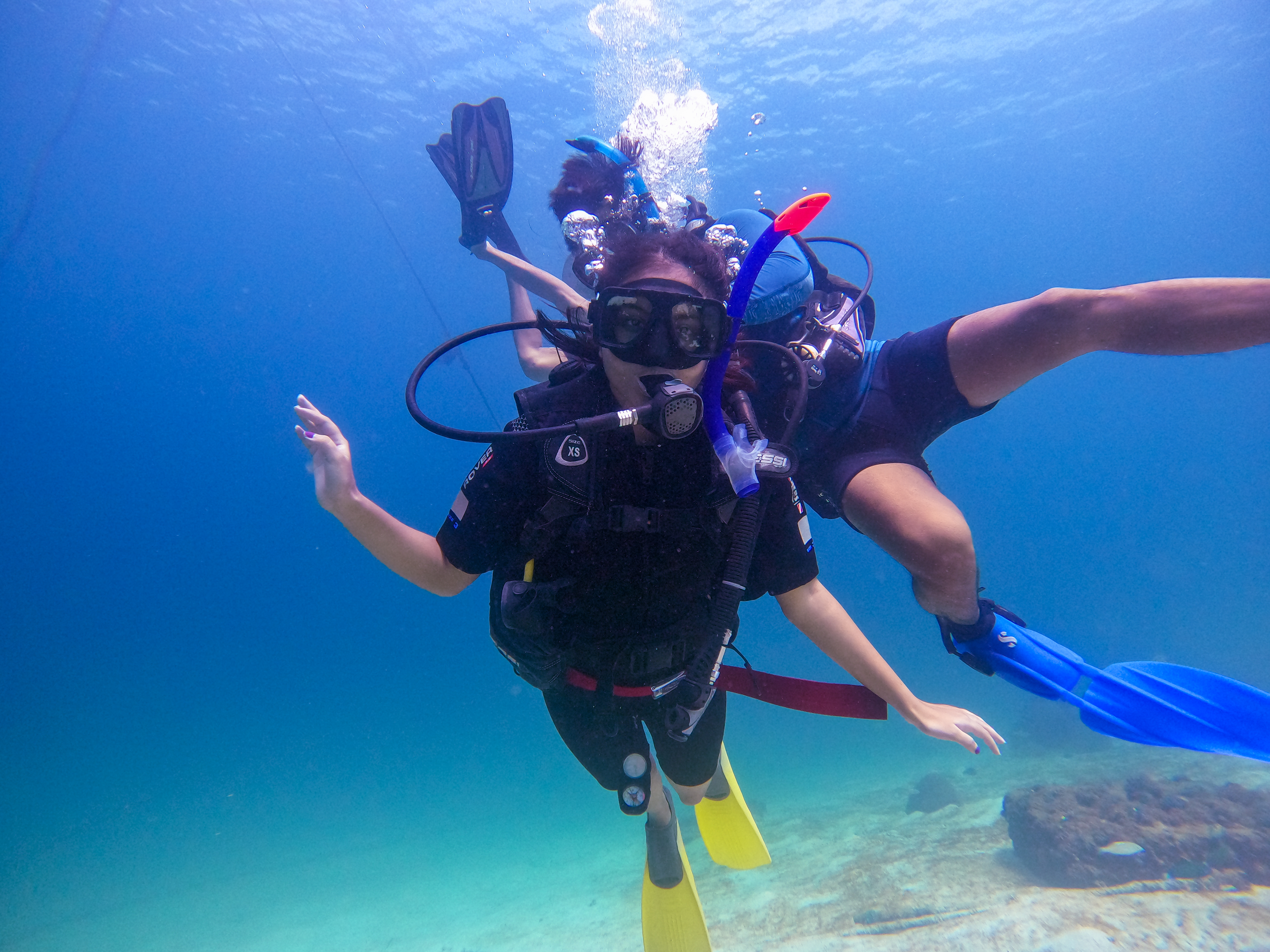 ファンダイビング体験（パヤ島・マリンパーク / PADI Dive Center提供）