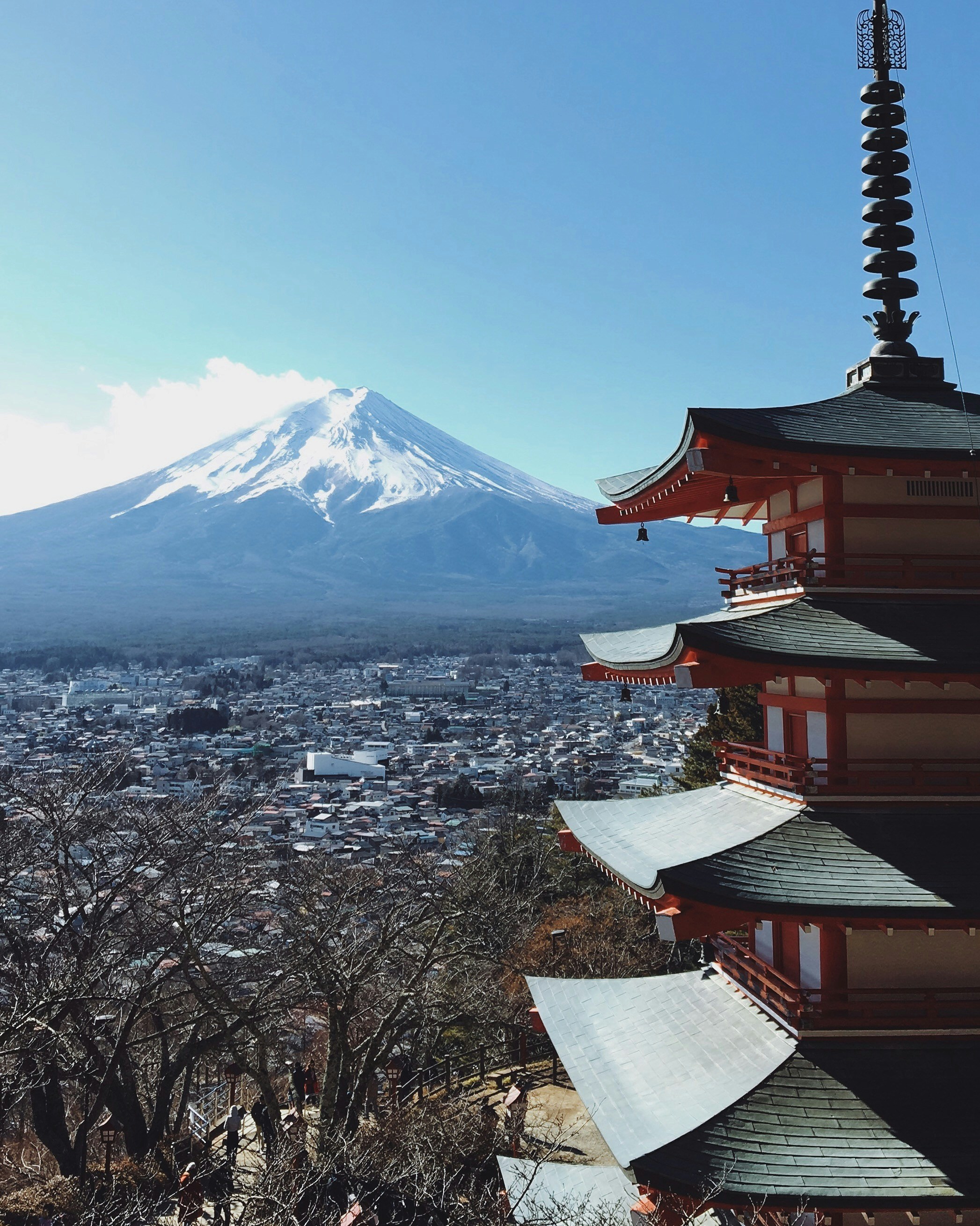 東京富士山 / 河口湖：高級私人一日遊