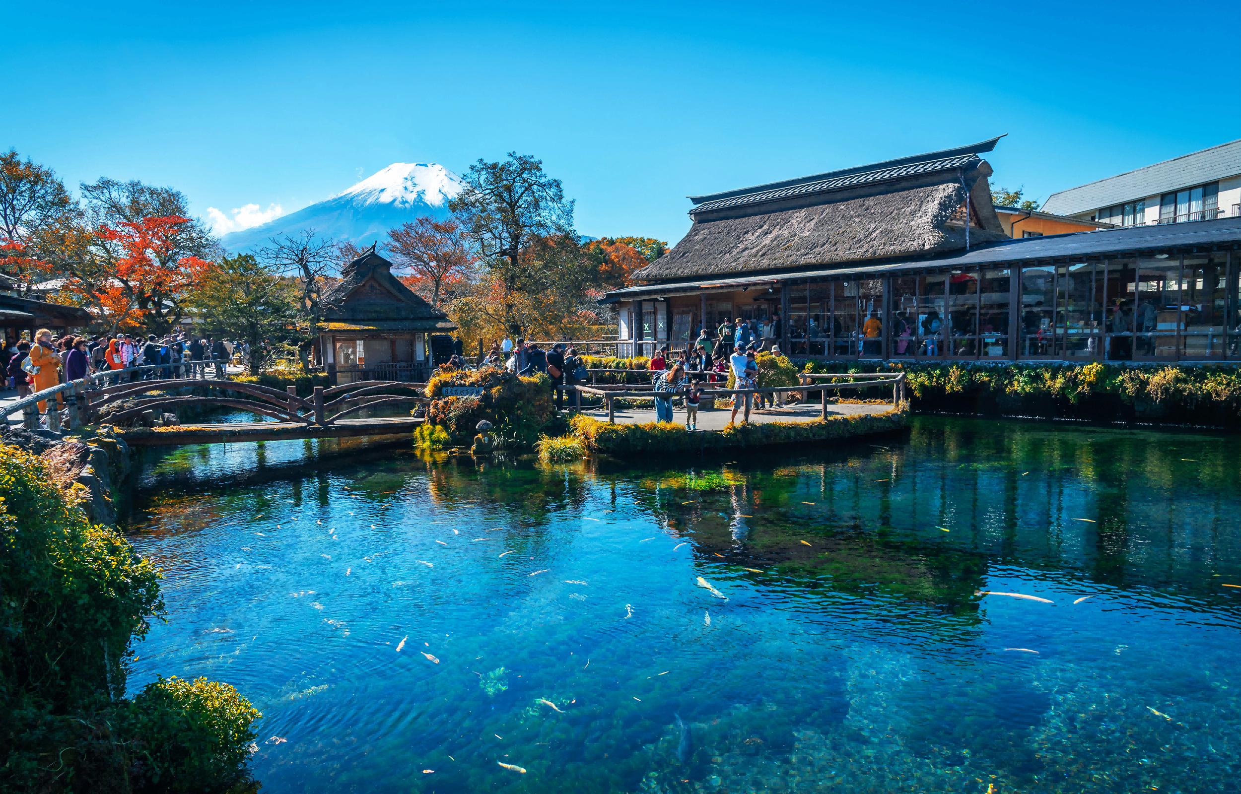 忍野八海以其優美的自然環境聞名，池水波光潾潾，與美麗的富士山合為一體，美不勝收，吸引無數攝影家不遠千里前來取景。