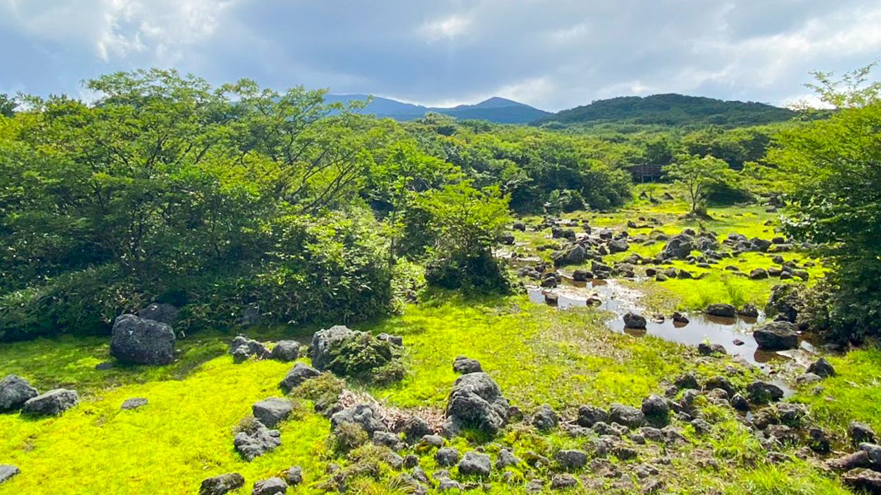 South & West : Hallasan 1100 Altitude Wetland – Jusangjeolli Cliff – Cheonjeyeon Waterfall – Eongdeongmul Valley – O’sulloc Tea Museum – Aewol Cafe Street