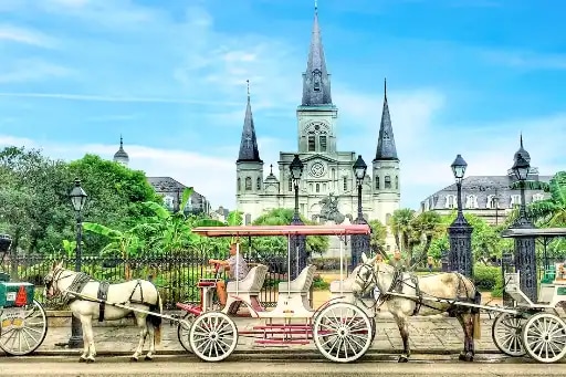 New Orleans City 3-Hour Bus Tour