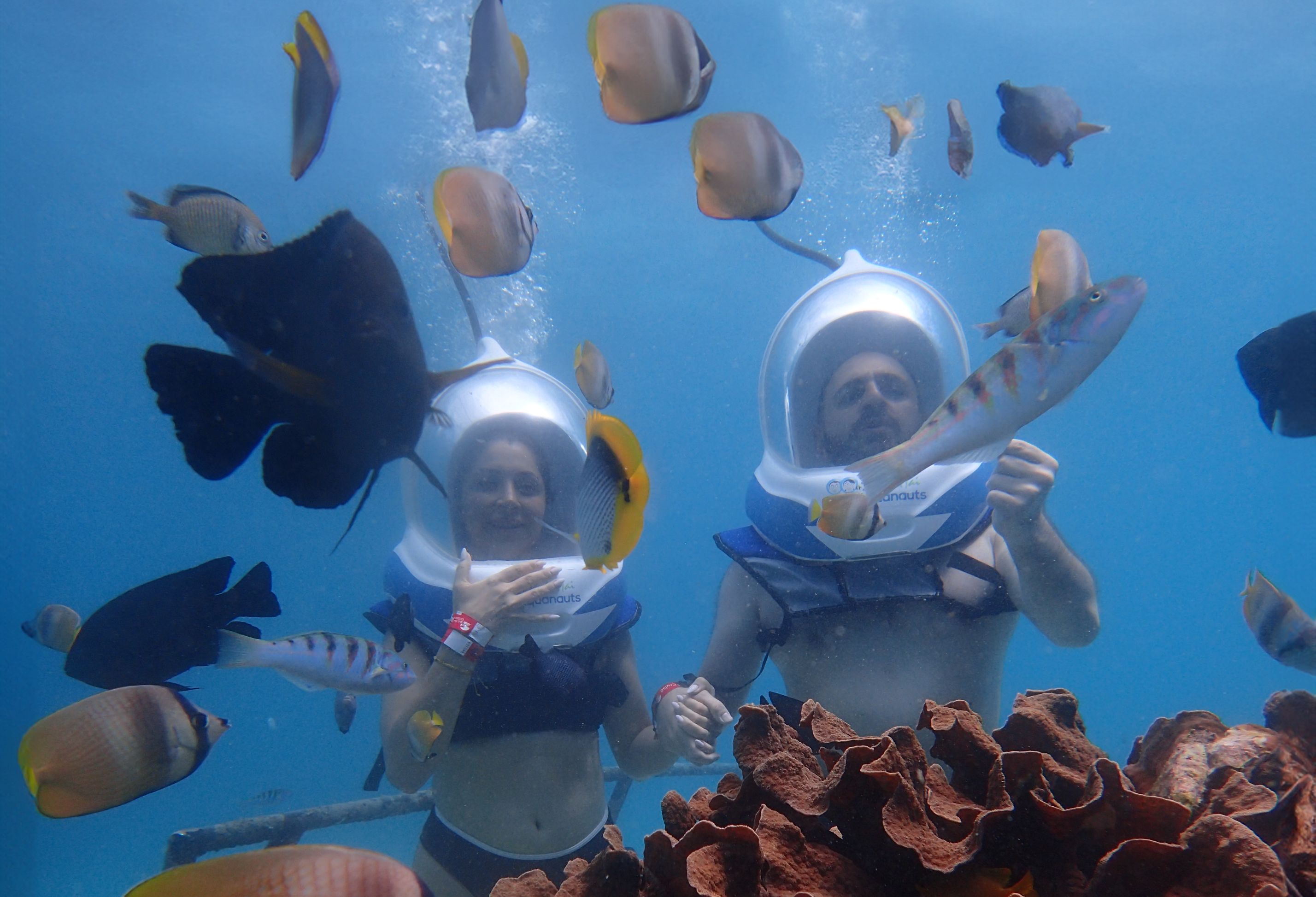 峇里島藍夢島珊瑚遊船＆水上活動（Bali Hai Cruise 提供）
