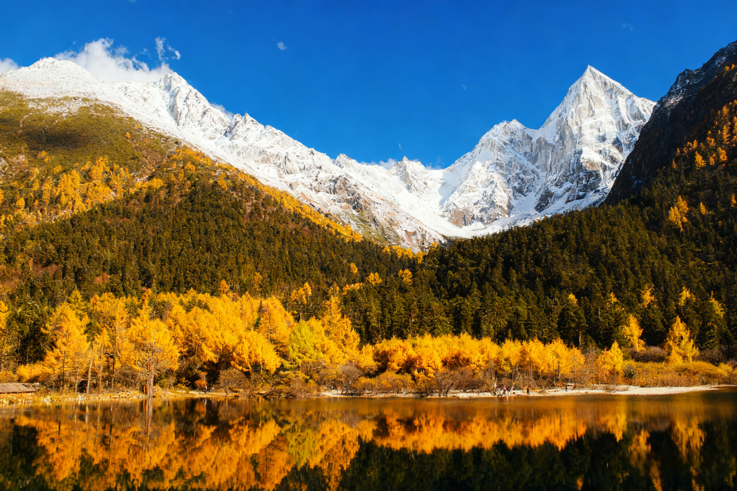2-Day Small Group Tour to Bipenggou, Siguniang Mountain, Sichuan (Chinese and English) 