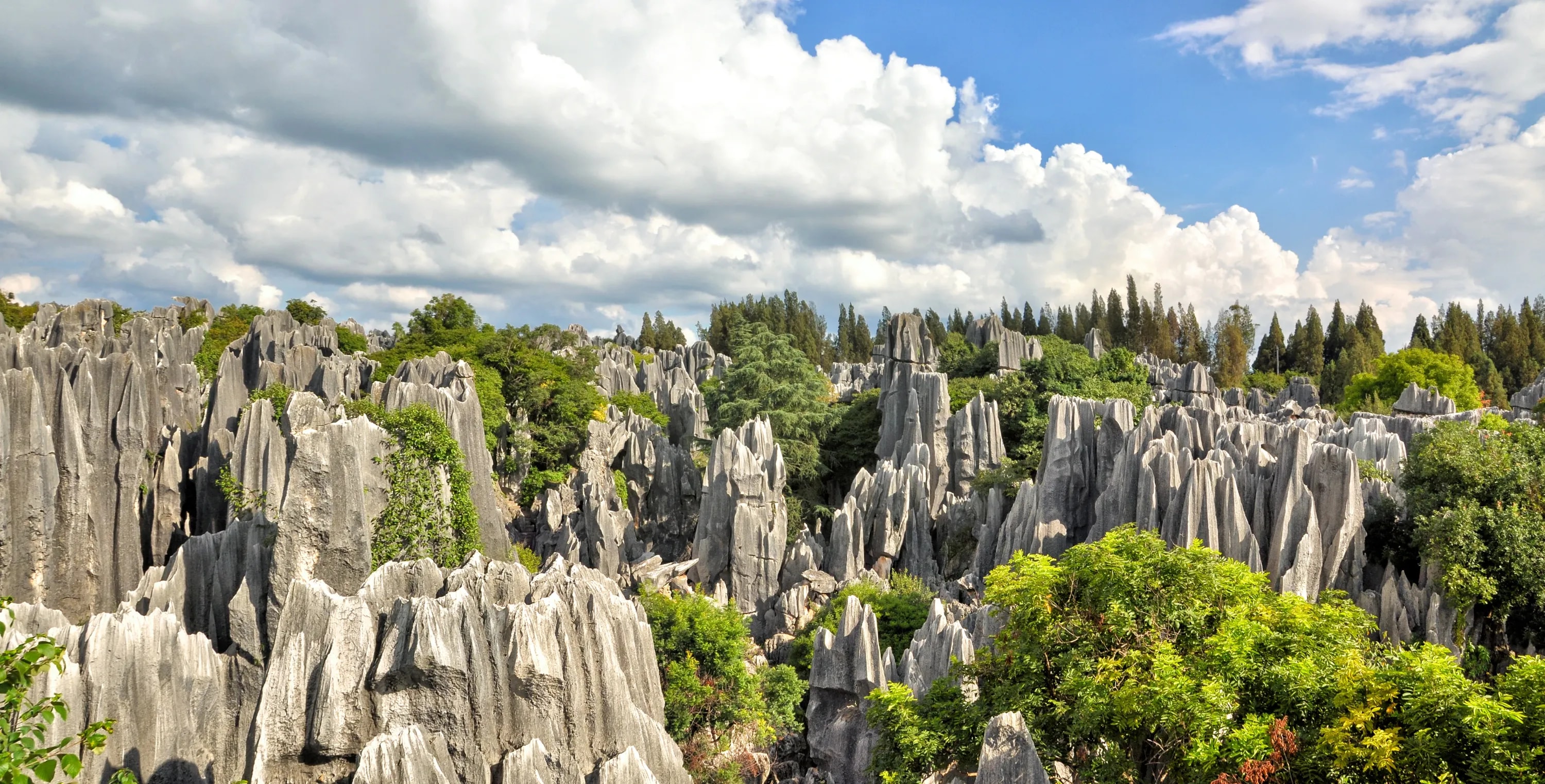 Kunming Private Day Tour to Stone Forest and Chengzi Ancient Town