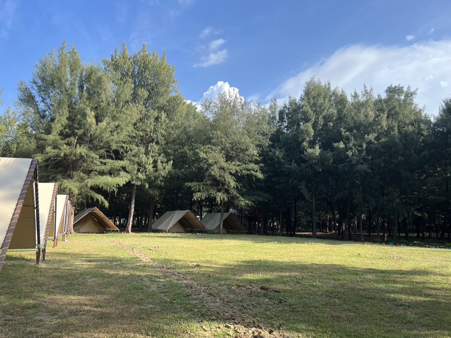 Miaoli Camping: Shanwuling - Nordic bell-shaped tent-free camping experience