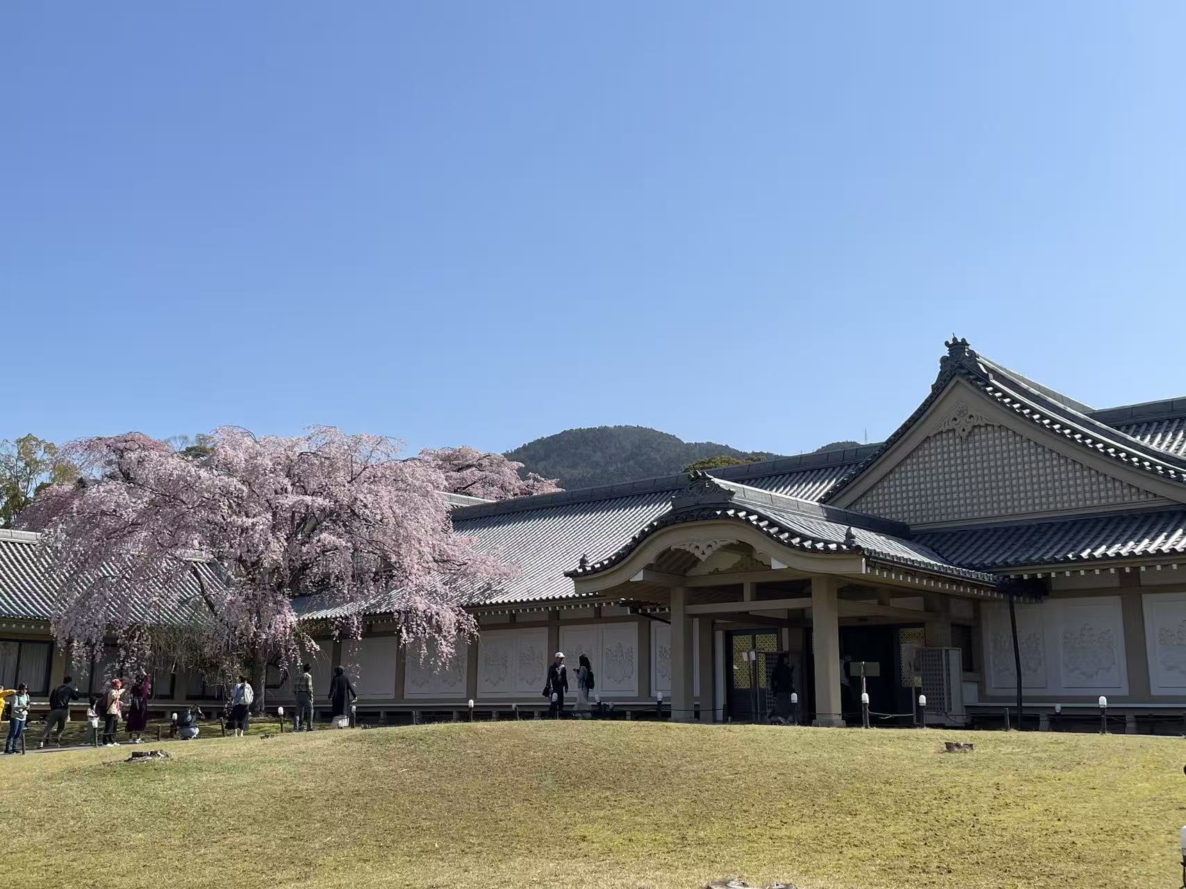 相傳開山祖師聖寶理源大師在山上遇到橫尾明神，大讚當地泉水味道如「醍醐味」（古代指牛奶精華），這便是「醍醐寺」的由來