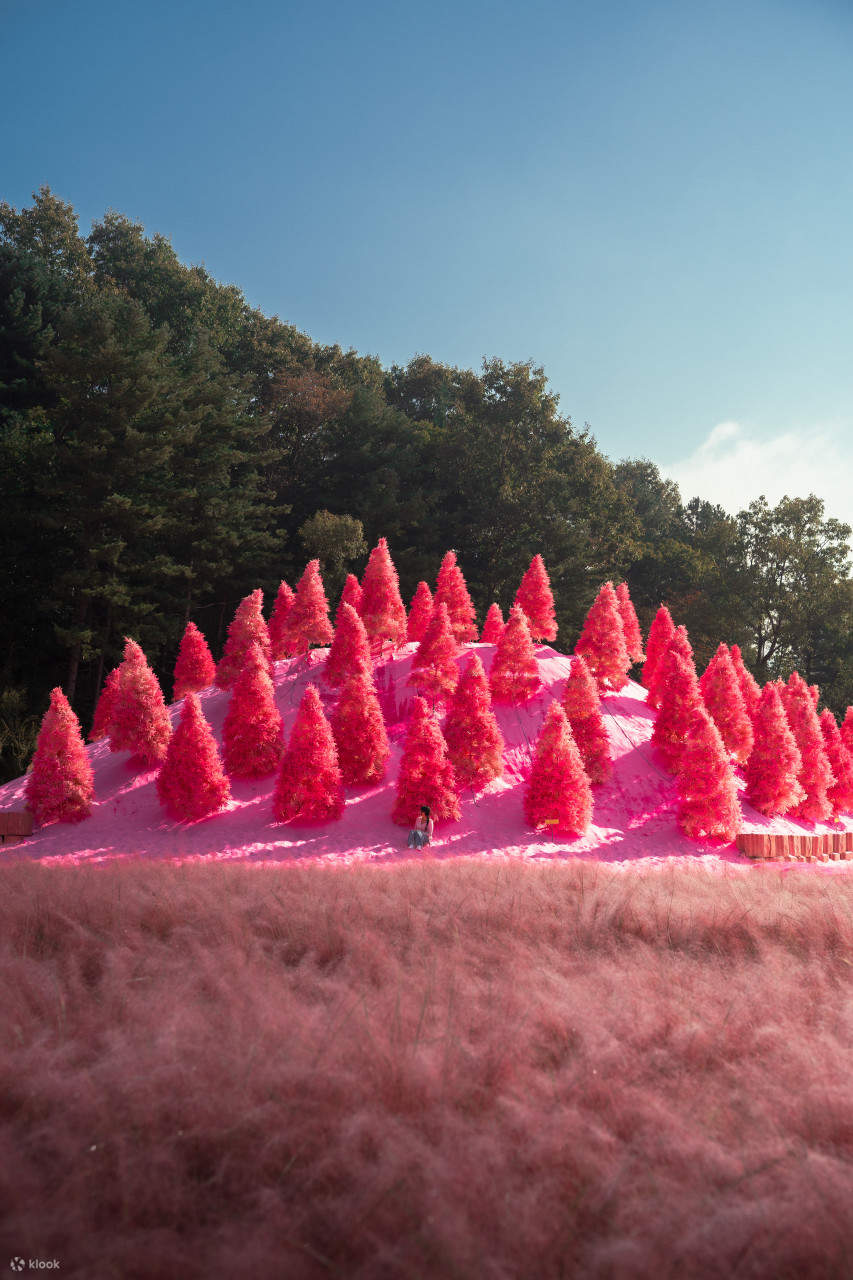 在色彩繽紛的花徑中漫步,盡情探索聖誕村和香草博物館,還能享受療癒的芳香療法或手作體驗,徹底放鬆身心。 在色彩繽紛的花徑中漫步,盡情探索聖誕村和香草博物館,還能享受療癒的芳香療法或手作體驗,徹底放鬆身心。