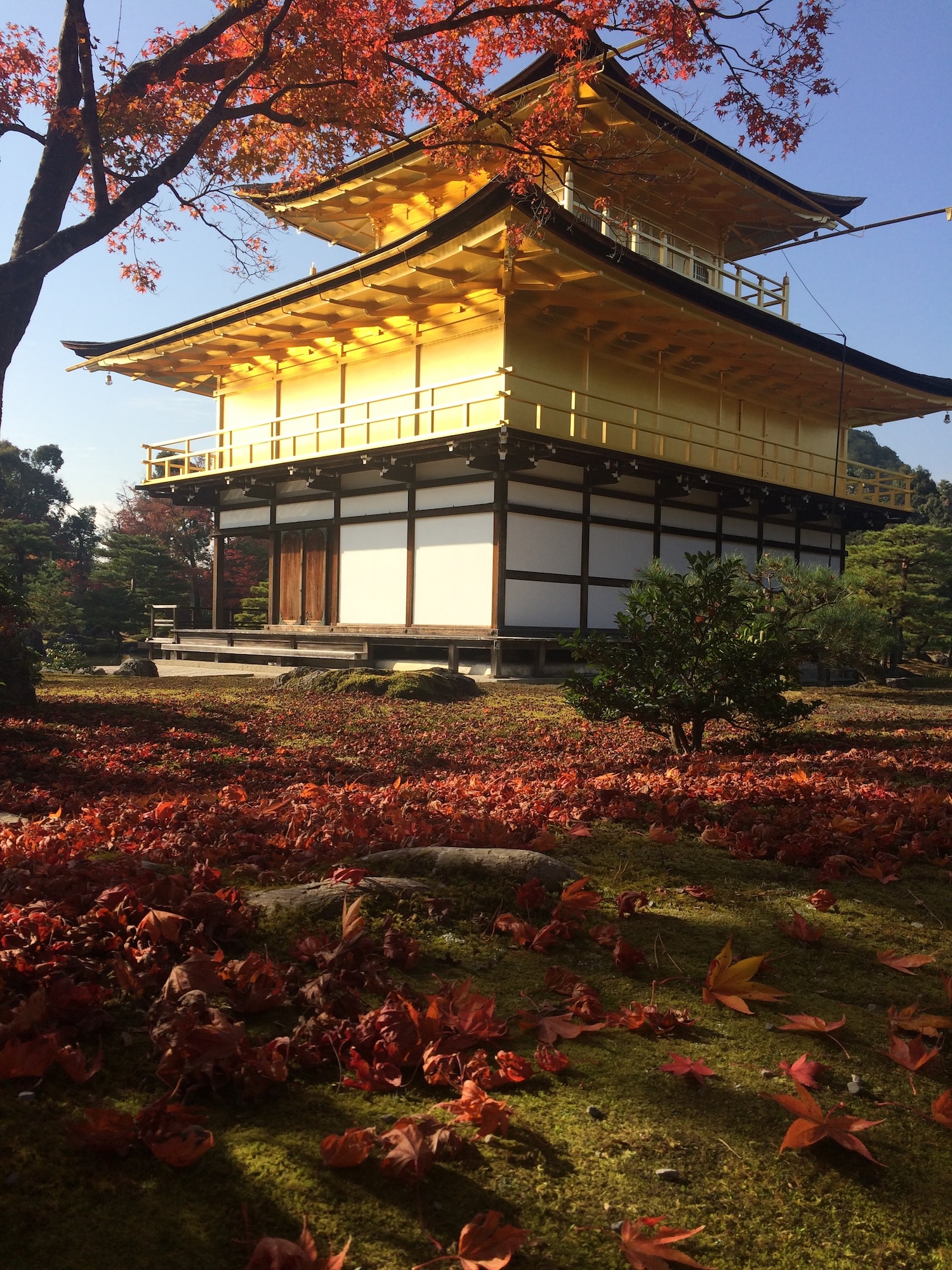 Kyoto: Immersive Arashiyama and Fushimi Inari by private vehicle