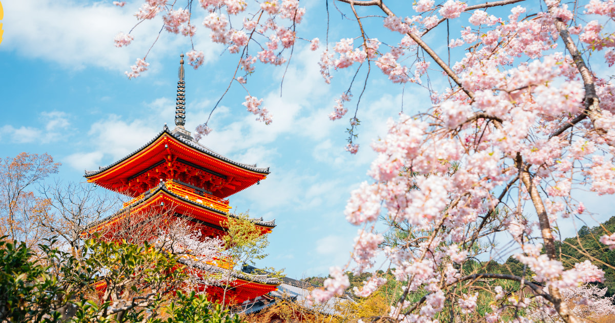 Fushimi Inari Taisha, an awe-inspiring shrine dedicated to the god of business prosperity, is the head shrine of all Inari shrines across Japan.