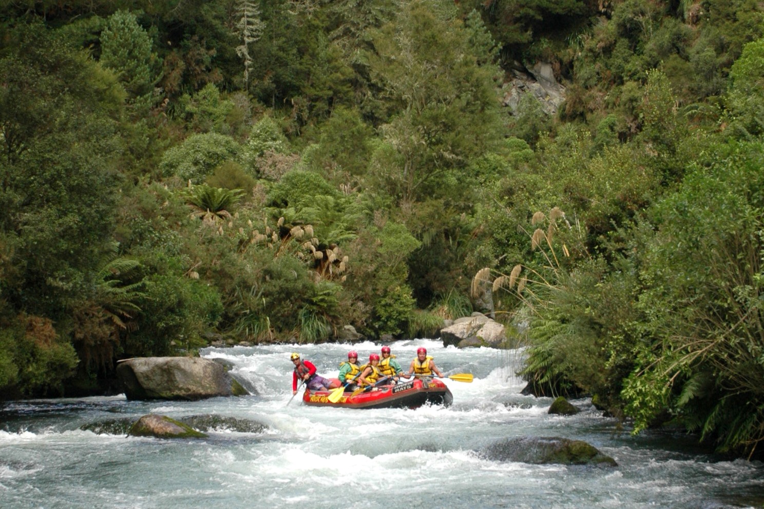 紐西蘭朗伊蒂基河（Rangitaiki）漂流體驗