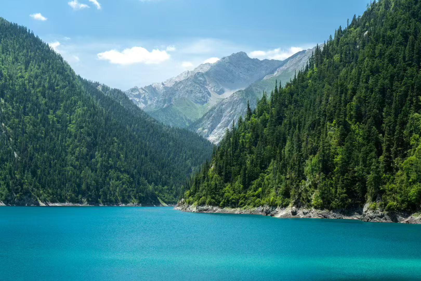 夏日的九寨溝長海，是景區最大的高山湖泊。群山環抱，湖面澄澈湛藍，水質純淨透亮。四周林木蔥鬱，青山倒映湖面，山水相融，靜謐悠遠。夏季水量豐盈，湖水碧波盪漾，空氣清新涼爽。狹長湖面蜿蜒山谷，背靠巍峨雪峰，風光壯闊清幽，遠離喧囂，盡顯高原湖泊的純淨與治癒。