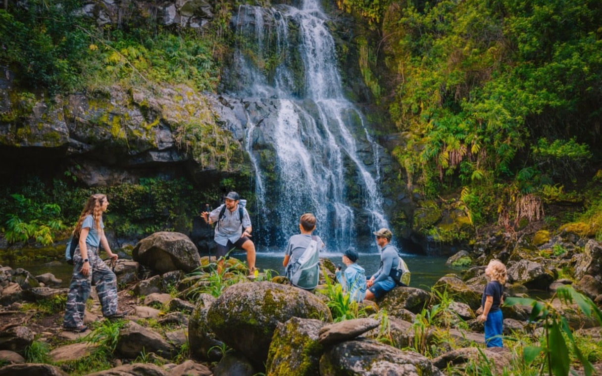 Kohala waterfalls one day hiking tour