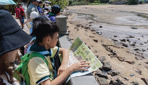 Lamma Island Estuary Ecotour & Upcycling Shell Art Workshop