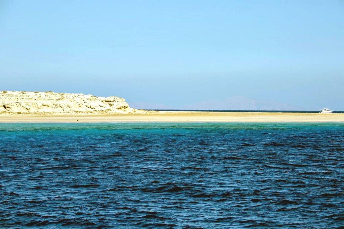 赫爾格達：馬加維什島潛水與浮潛之旅（含午餐）