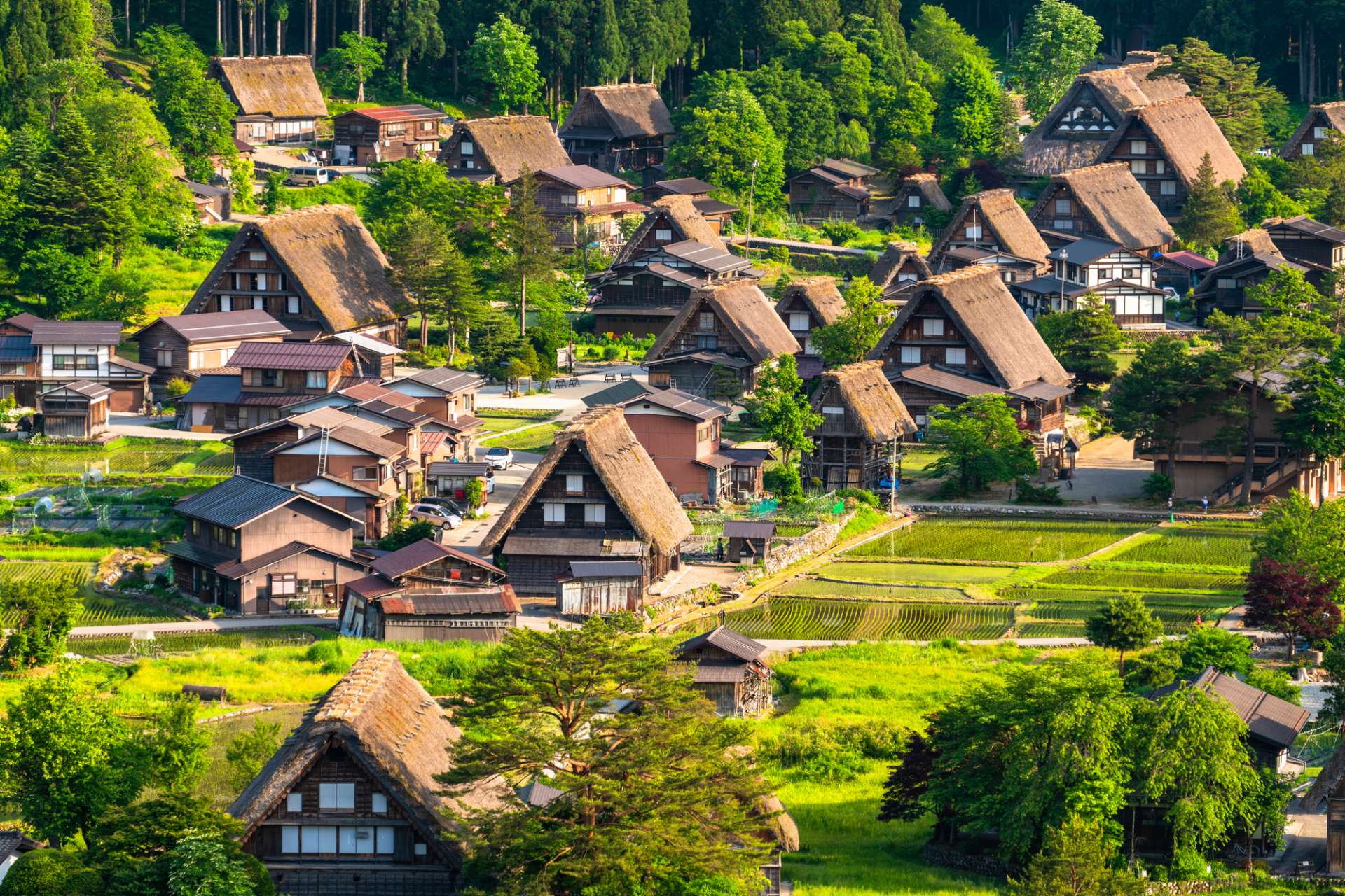 Nagoya Private Car Charter: Mount Fuji, Kamikochi, Shirakawa-go, Kyoto, Kanazawa (Multiple Routes Available)