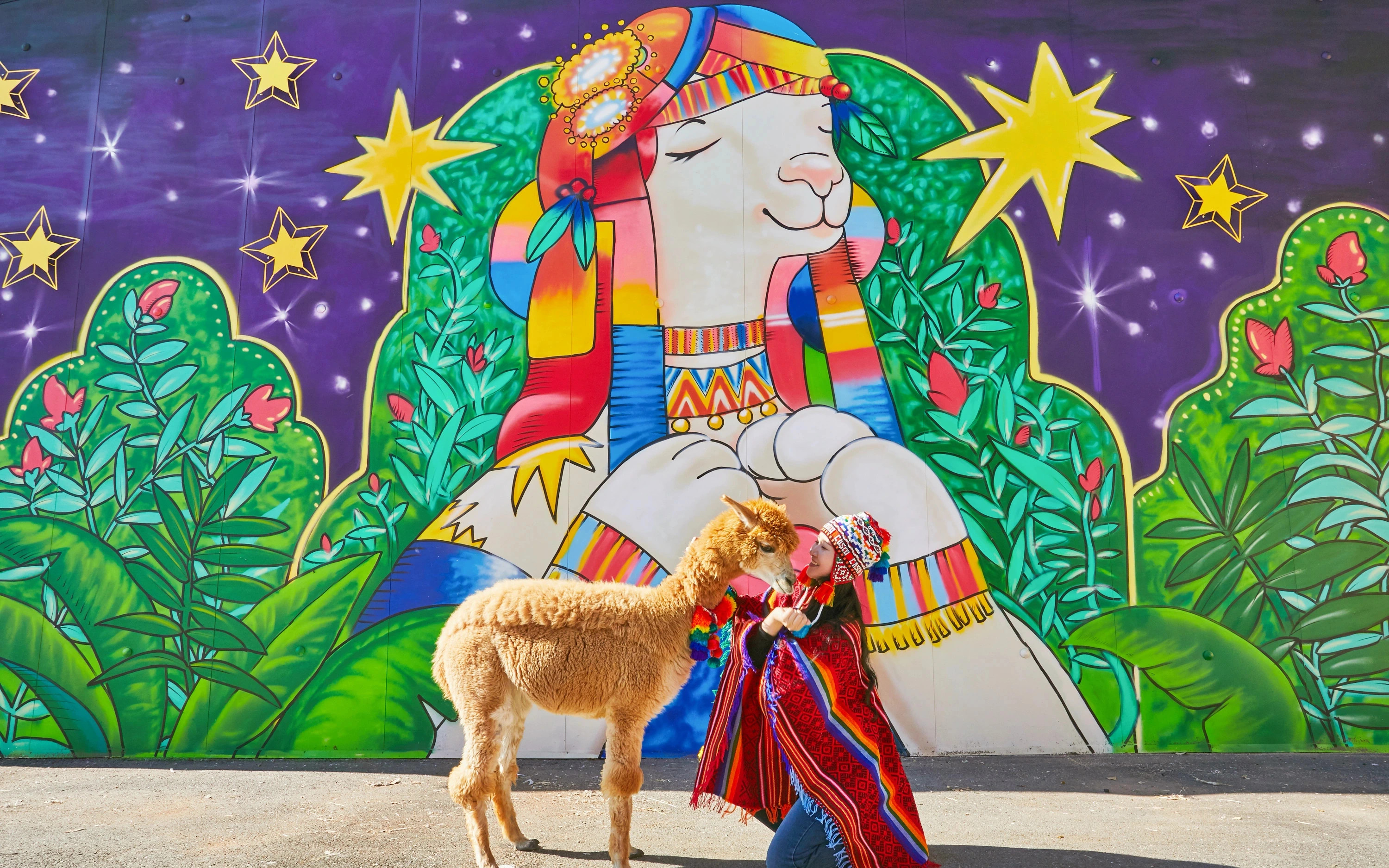 Nami Island+Alpaca+RailBike+Petite+LEGOLAND+Morning Calm PrivateTour