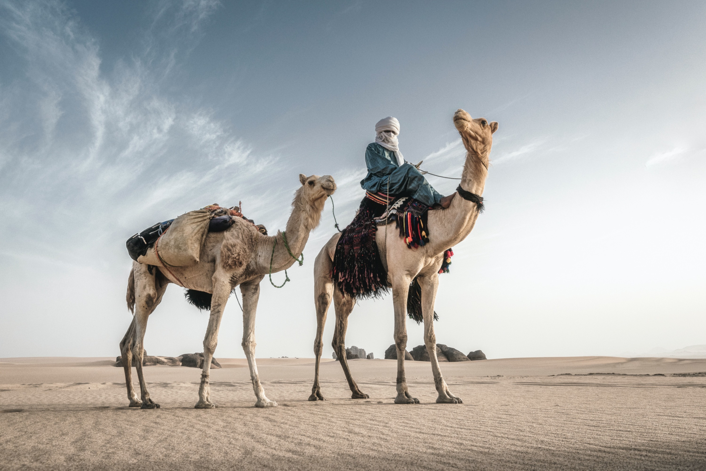 Hurghada Desert Activities with Traditional Show and Bedouin Dinner