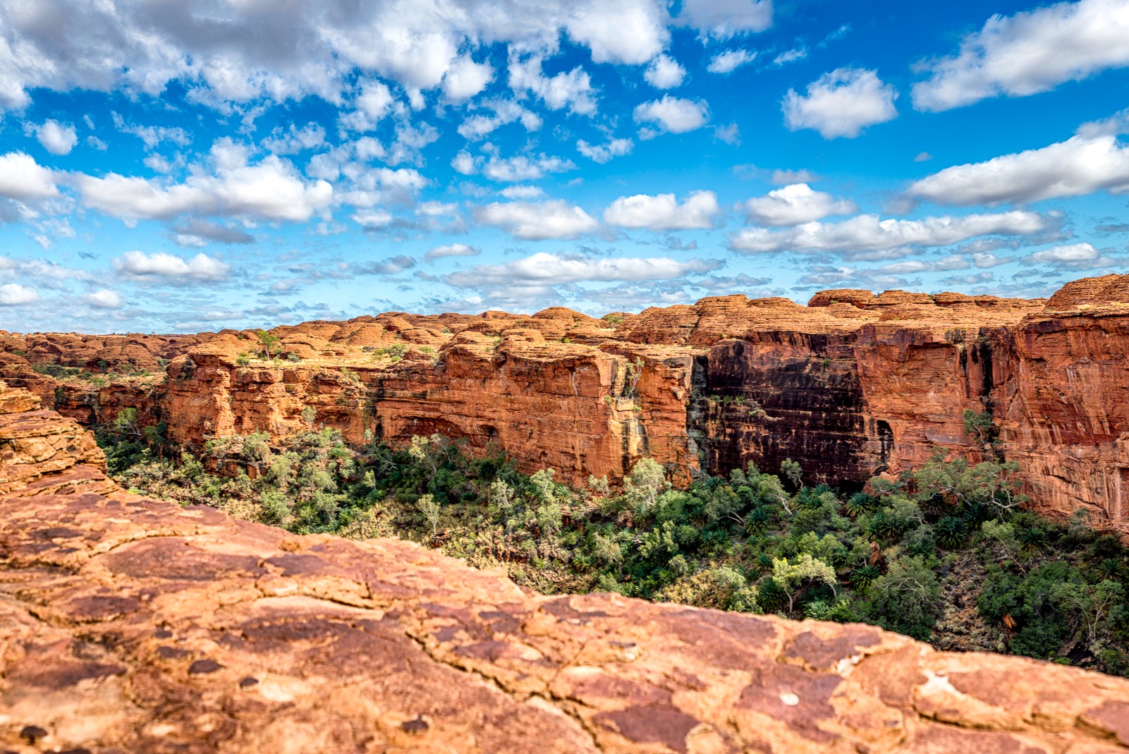 烏魯魯 (Uluru) 2天1夜過夜之旅