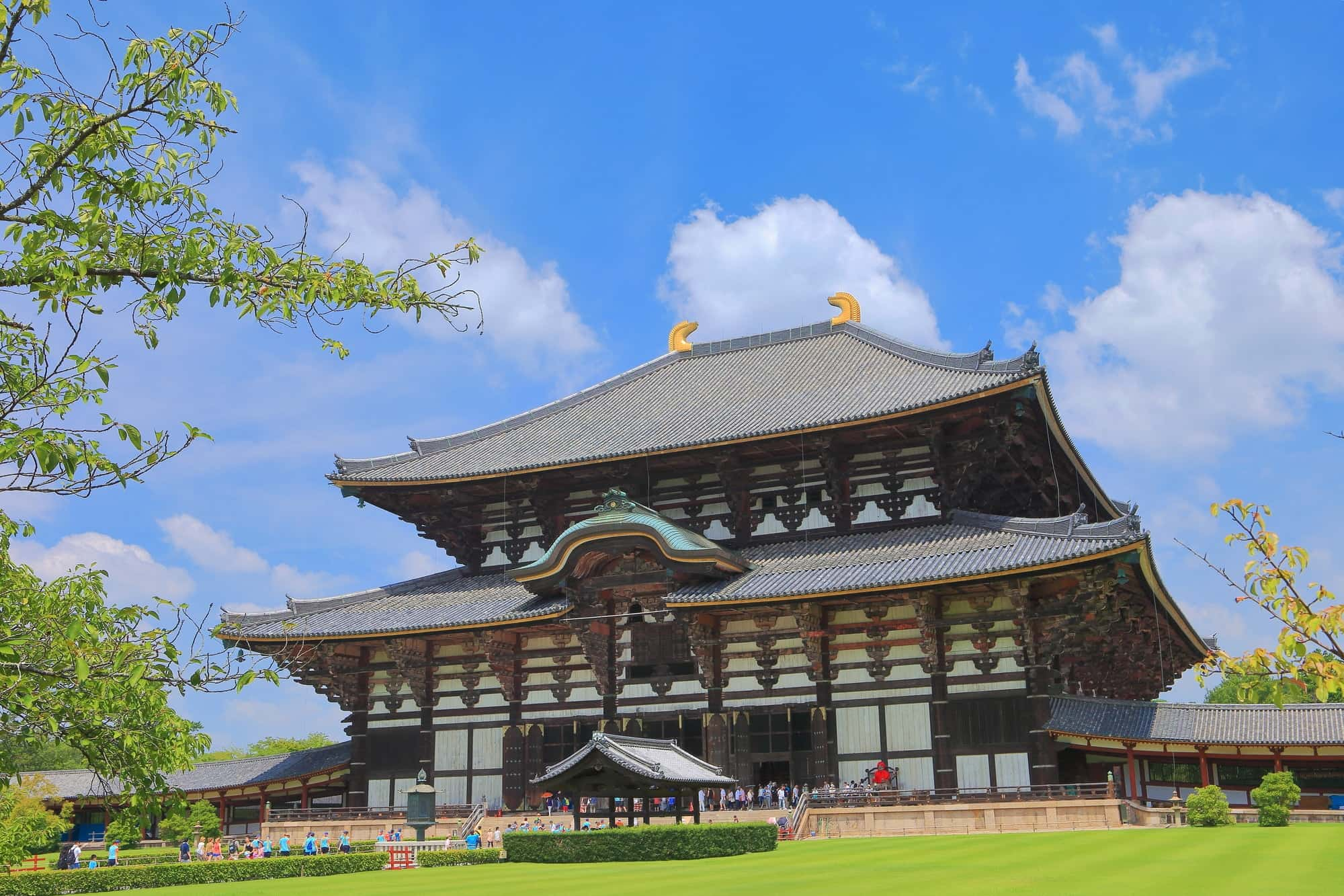 和歌山城x黑潮市場x奈良神鹿公園x東大寺一日遊(大阪出發)