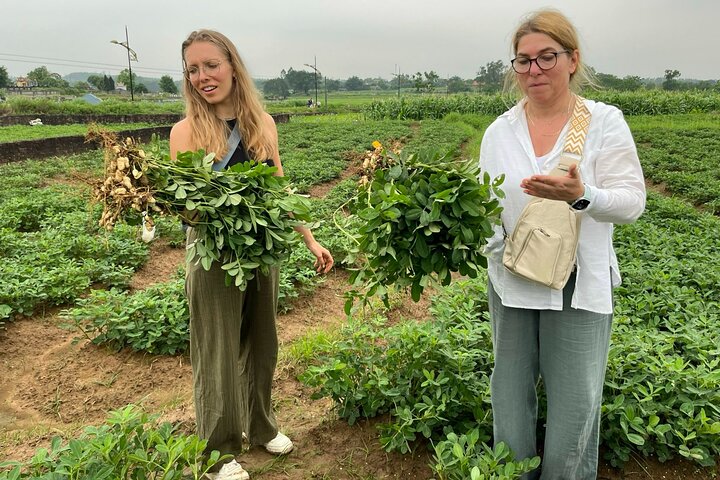 陽林村的道路上鋪滿了稻米和乾燥的稻草，營造出一種在其他地方罕見的寧靜景象。
