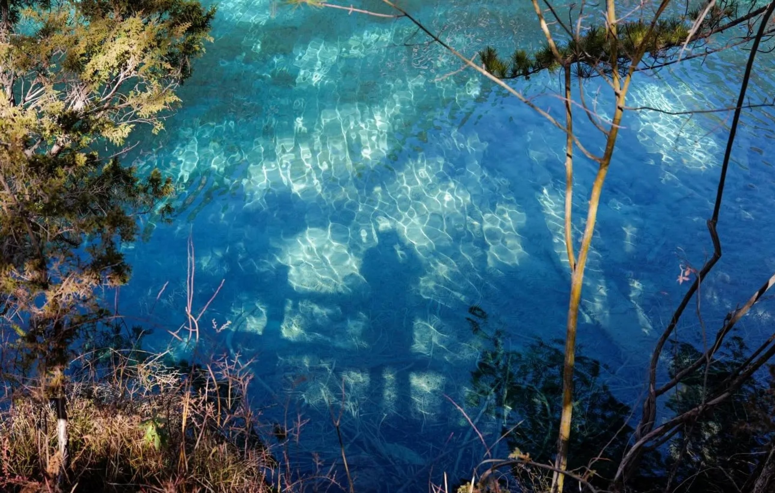 九寨溝五花海湖水清澈透亮，藍綠色的湖面在陽光照耀下波光粼粼，四周森林環繞，展現出迷人的自然風光