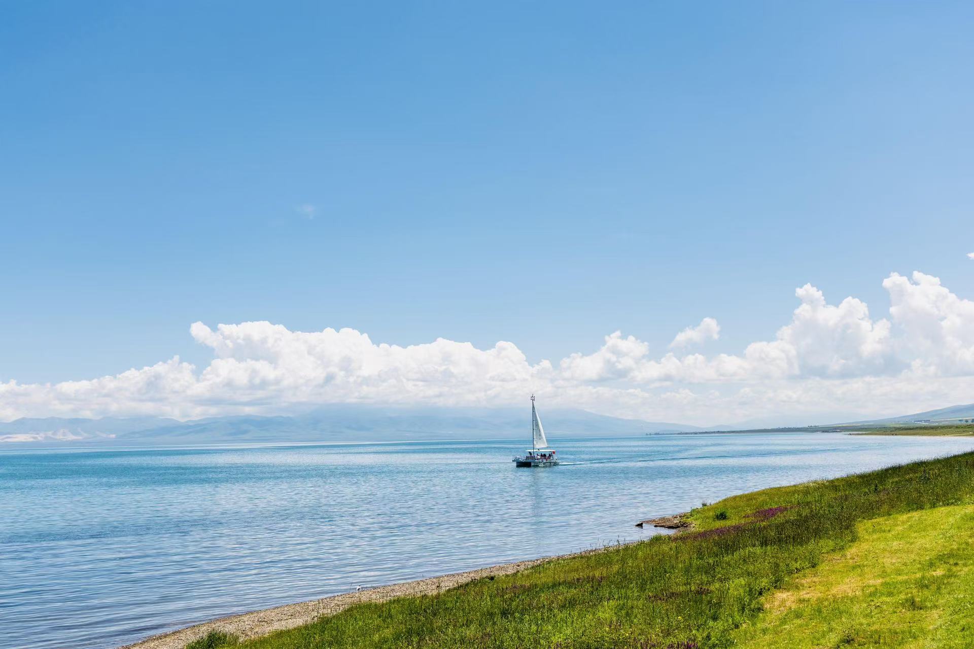 晴日之下青海湖水波光柔和,一艘帆船悠然航行於澄澈湖面,岸邊是長勢繁茂的青草地,點綴細碎野花,綿軟雲朵漂浮天際,整體畫面閒適鬆弛,充滿悠然度假感 晴日之下青海湖水波光柔和,一艘帆船悠然航行於澄澈湖面,岸邊是長勢繁茂的青草地,點綴細碎野花,綿軟雲朵漂浮天際,整體畫面閒適鬆弛,充滿悠然度假感