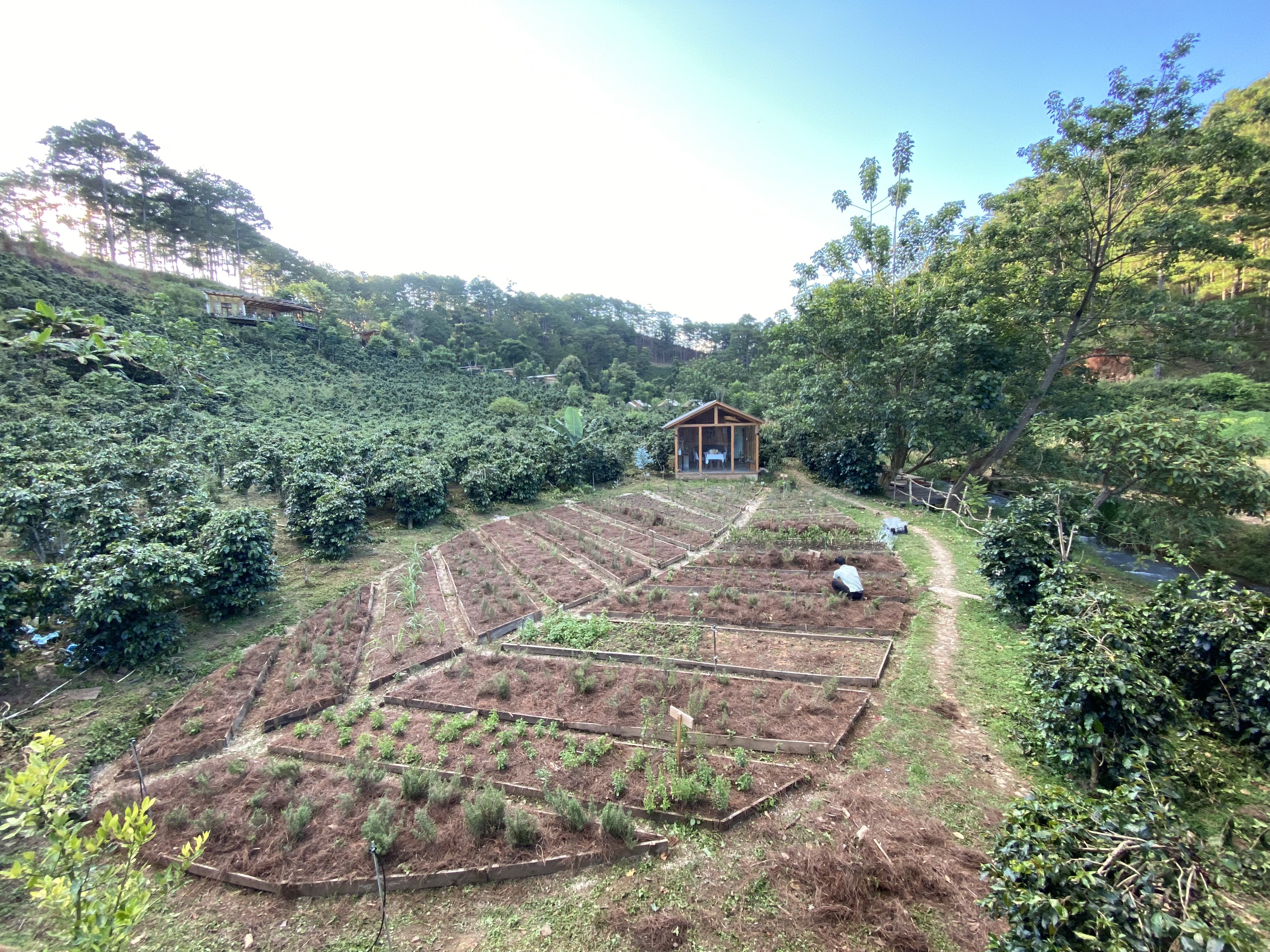 Scented Candle Workshop and Herb Garden Visit