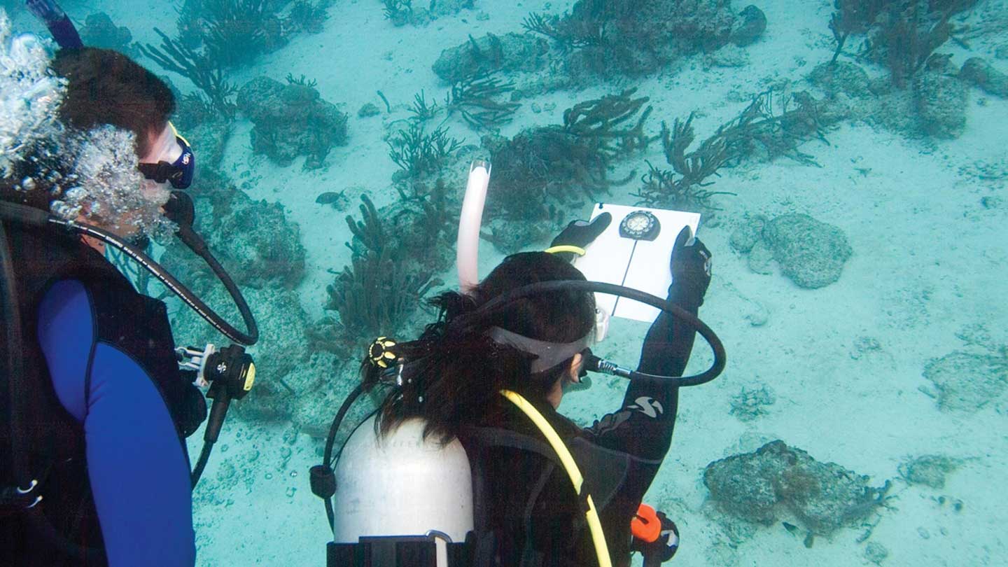 蘭達島進階開放水域潛水員體驗（PADI五星級潛水中心）