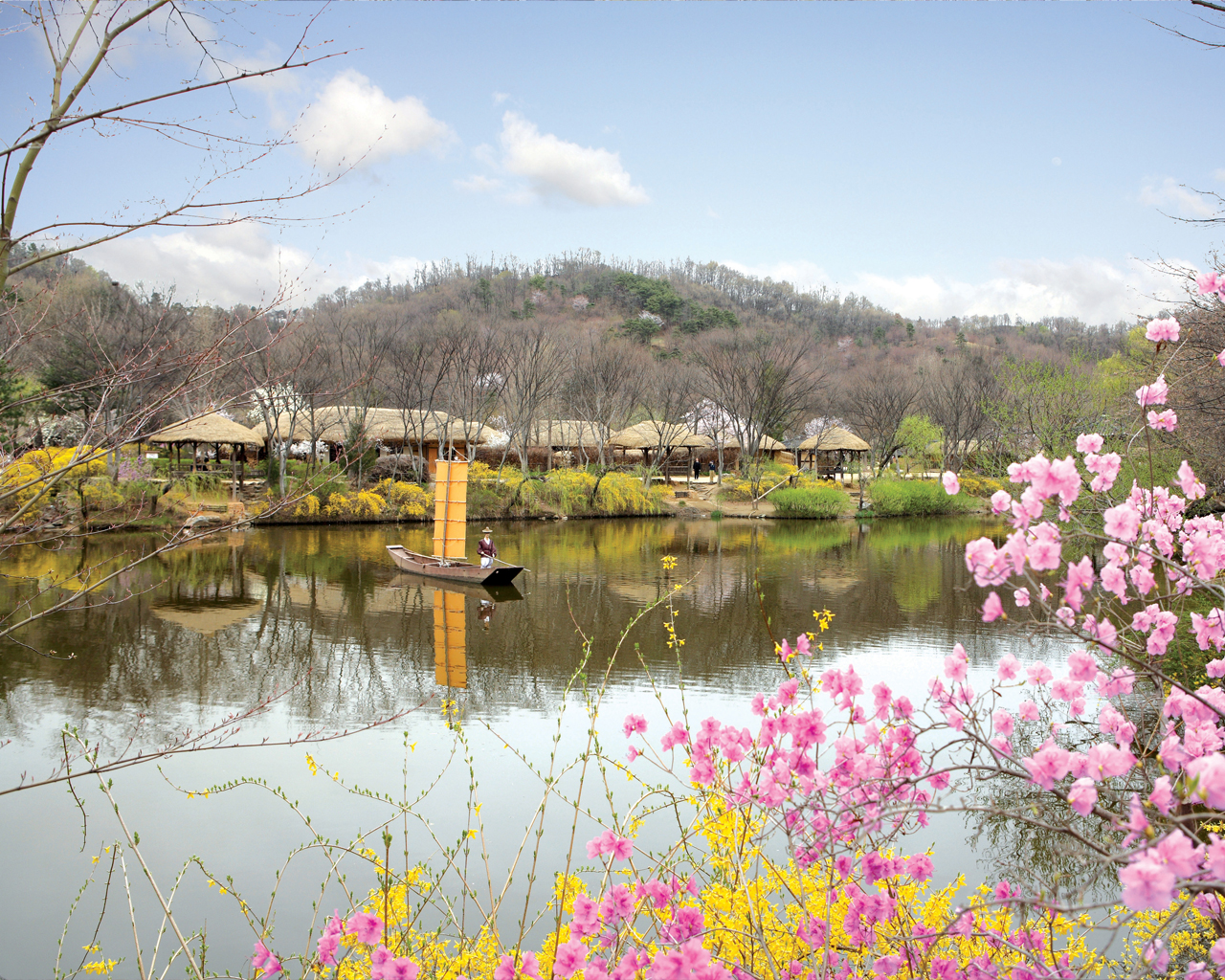 和談林植物園 & 光明洞窟 & 韓國民俗村一日遊