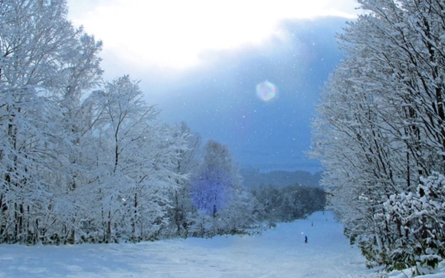 Enjoy the northernmost powder snow: Pippu Ski Day Trip Experience Tour (English or Chinese guide included)