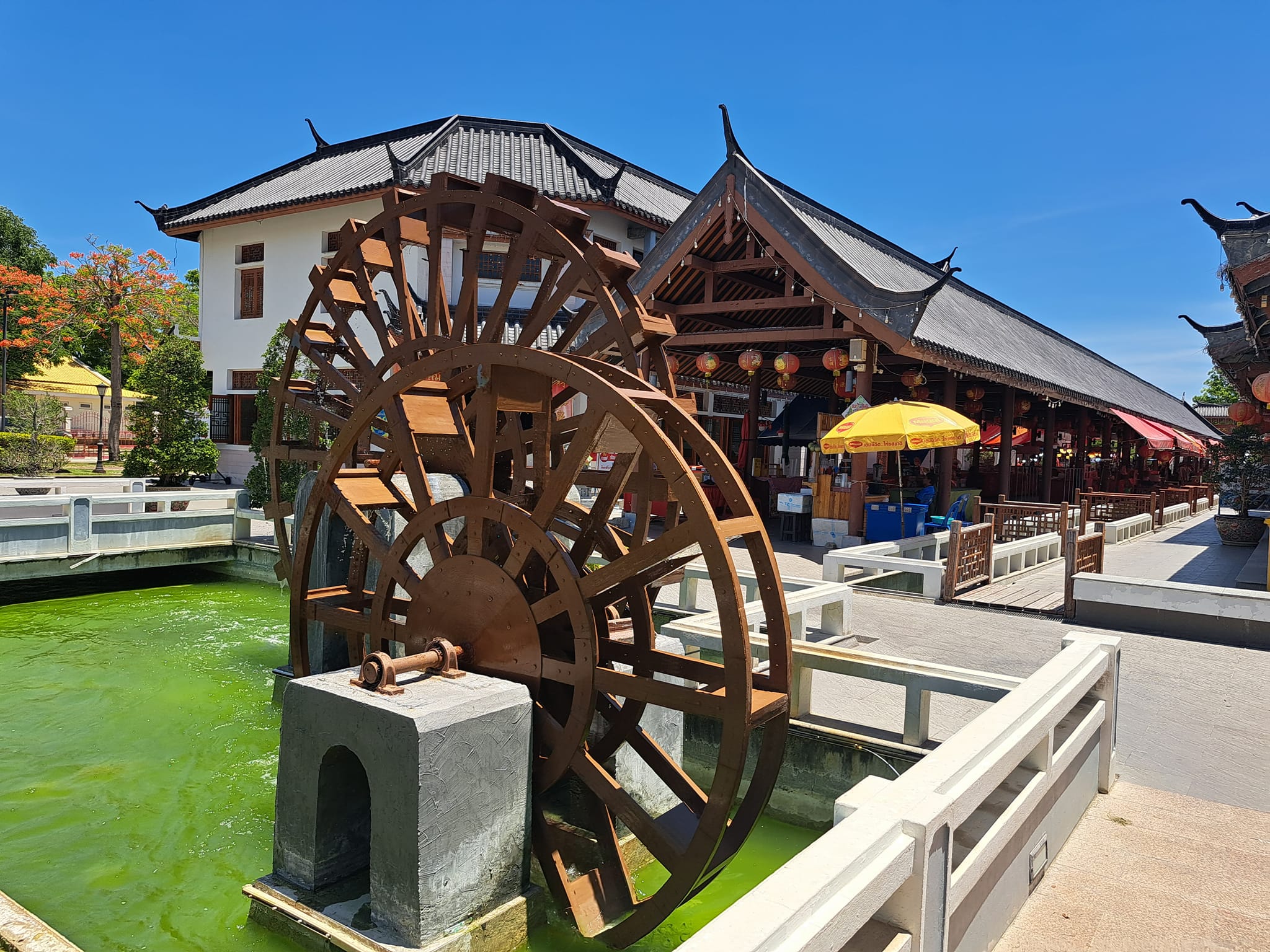 水牛城 & 天體之城 & 招財貓寺廟和市場一日遊