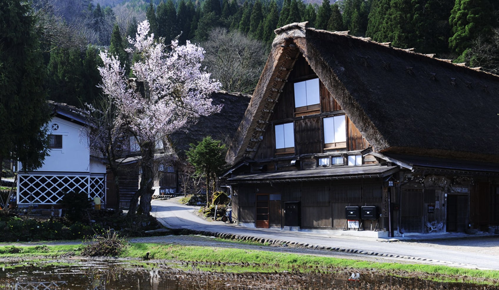 2-Day Tour of the Best of Hokuriku | Kanazawa, Shirakawa-go, Tojinbo