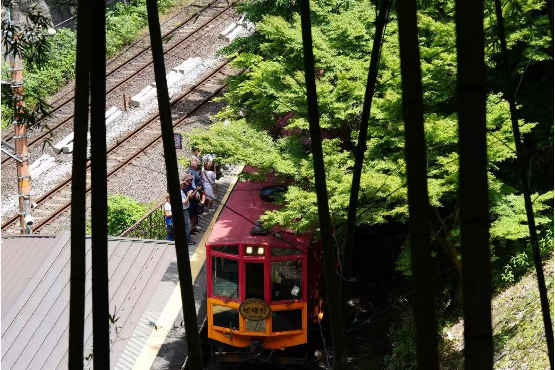 Image 4