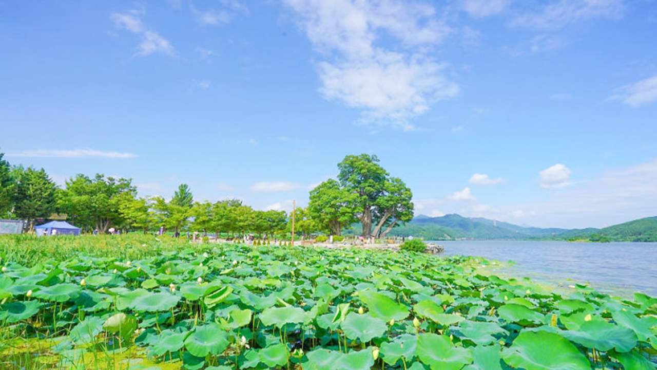 寬闊的水景營造出寧靜清新的氛圍,遊客可沿著幽靜的河畔小徑漫步,盡享悠閒時光。 寬闊的水景營造出寧靜清新的氛圍,遊客可沿著幽靜的河畔小徑漫步,盡享悠閒時光。