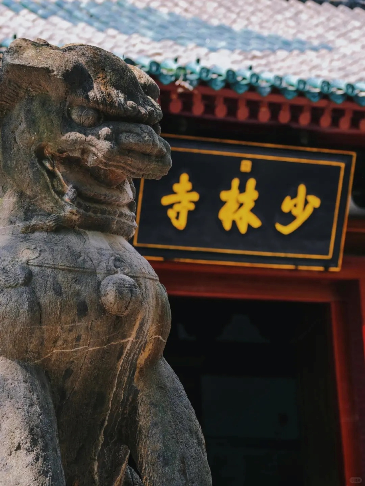 河南少林寺&龍門石窟一日遊（鄭州出發+禪宗祖庭少林寺+壯觀的石刻寶庫龍門石窟 + 金牌導遊帶團+無線耳麥講解+純玩不進店 ）