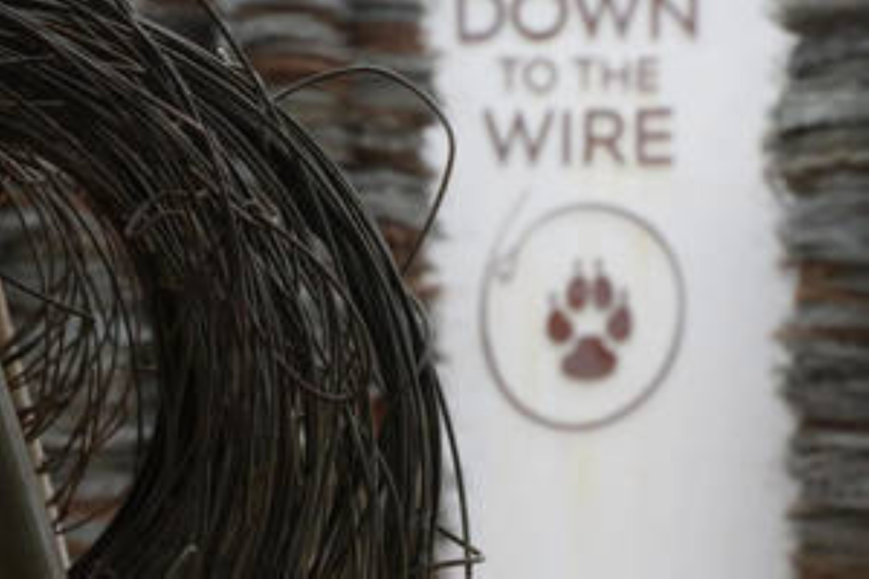 Down-to-the-Wire Workshop