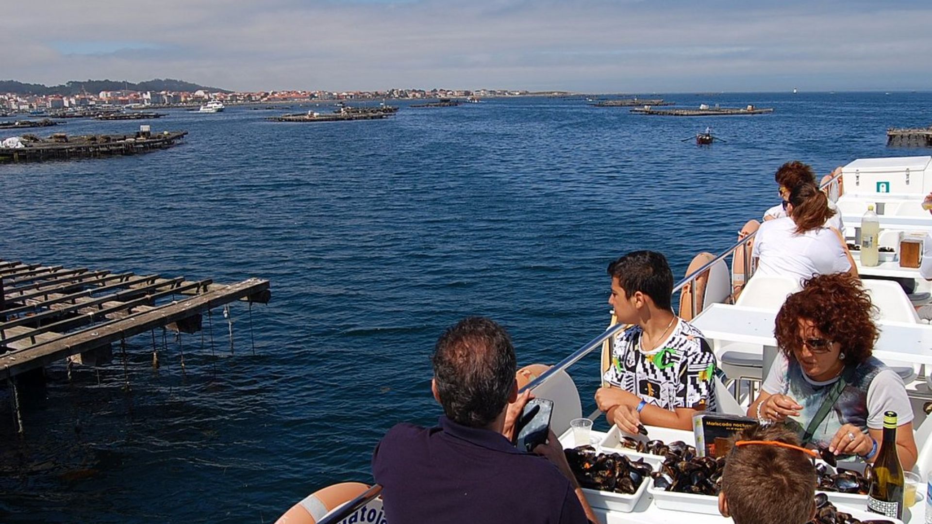 Rias Baixas winery tour with optional boat trip from Santiago