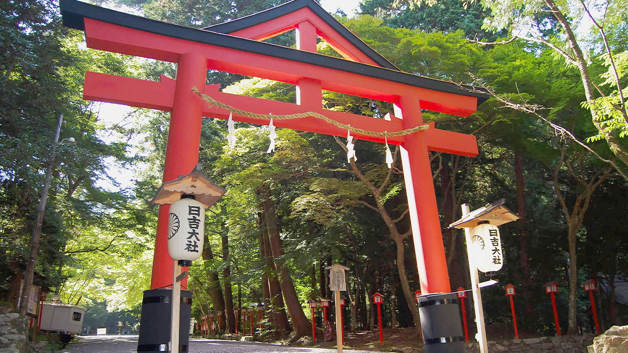 日吉大社坐落於比叡山麓,是日本全國日吉、日枝、山王神社的總本宮。圖中醒目的硃紅色 “山王鳥居” 是其標誌性建築,參道被茂密林木環抱,秋季更是關西知名的紅葉勝地。 日吉大社坐落於比叡山麓,是日本全國日吉、日枝、山王神社的總本宮。圖中醒目的硃紅色 “山王鳥居” 是其標誌性建築,參道被茂密林木環抱,秋季更是關西知名的紅葉勝地。