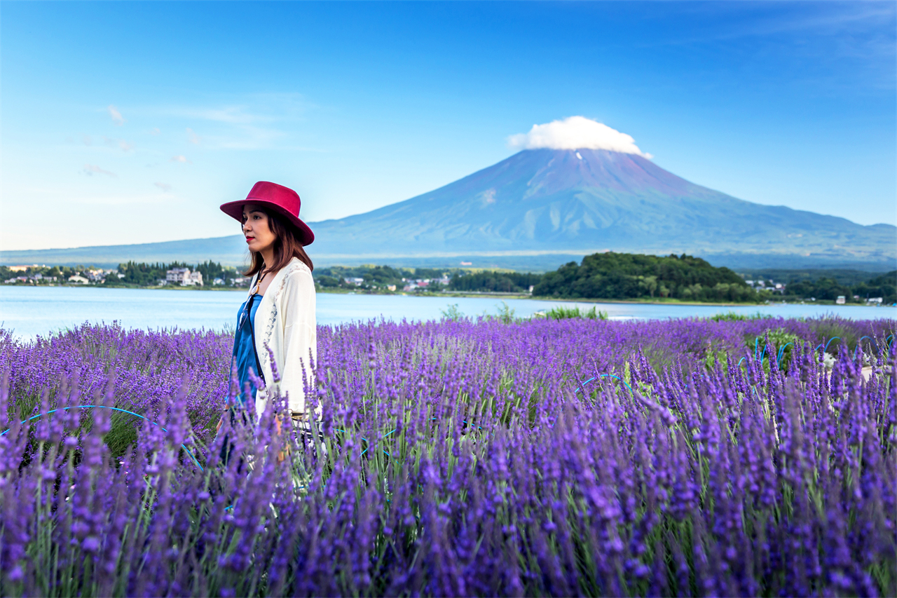 富士山探索之旅-新倉山淺間公園·天梯小鎮·忍野八海·河口湖大石公園·西湖療愈里根場一日遊