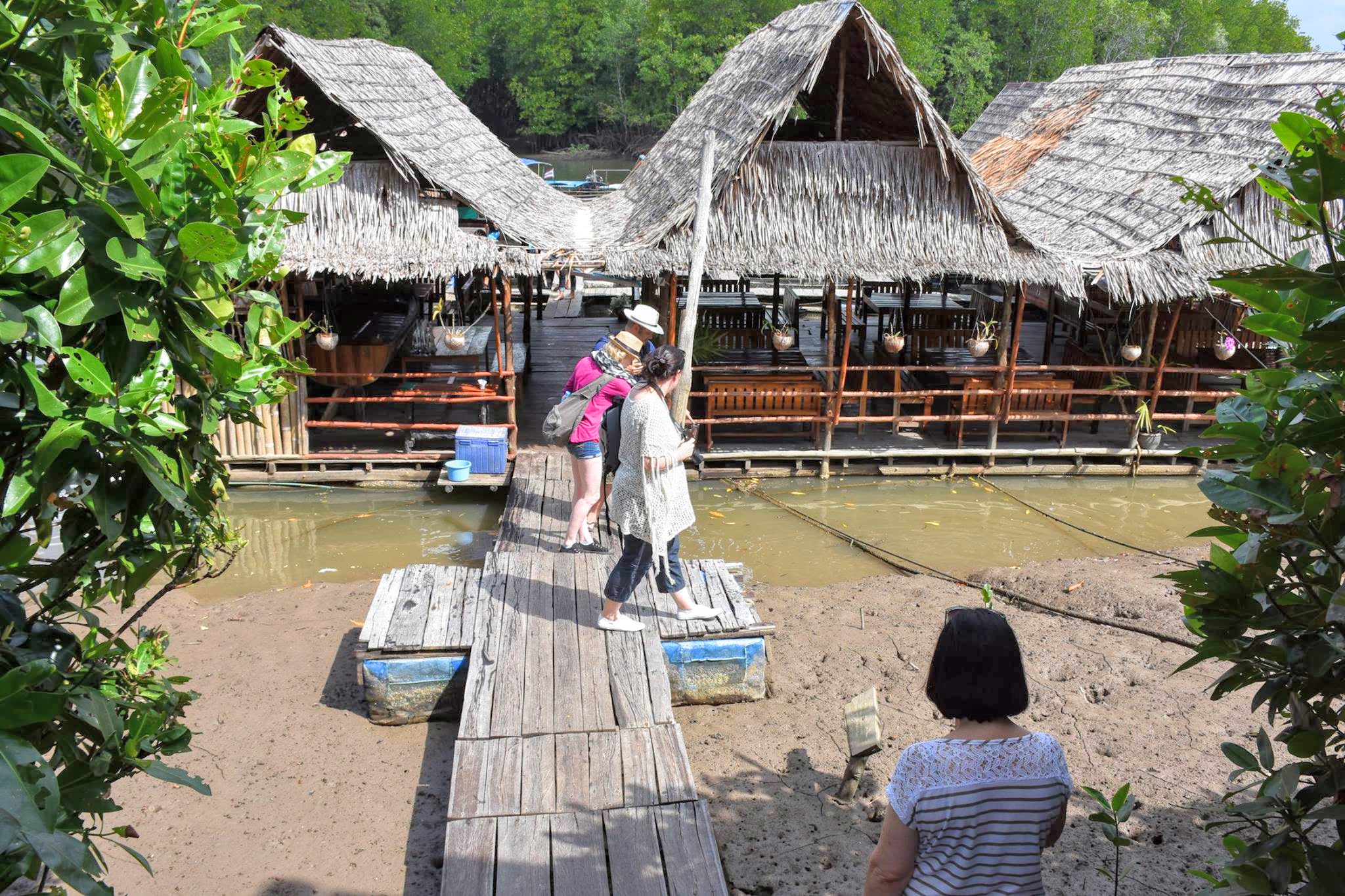 喀比紅樹林遊船之旅