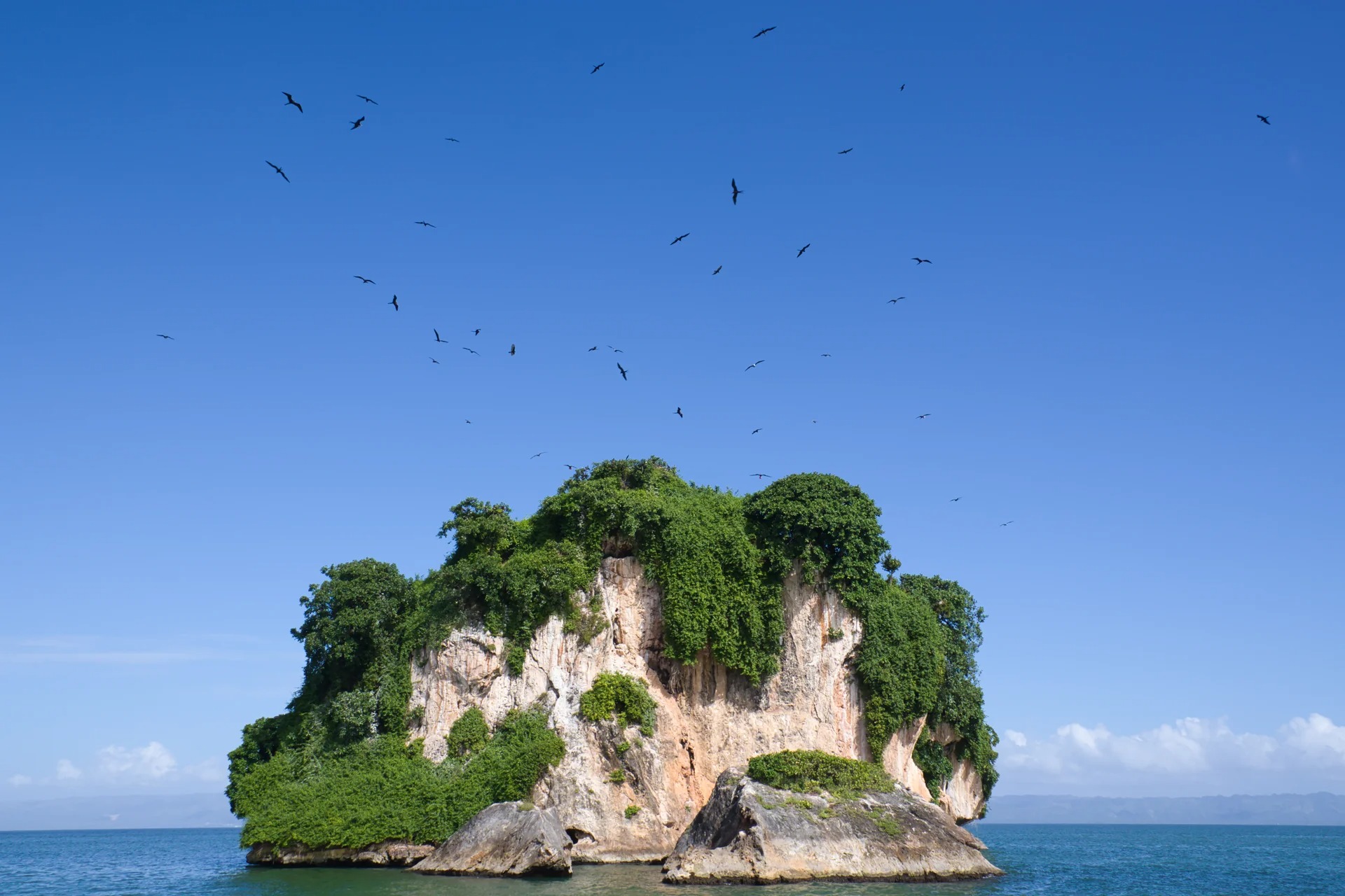 bird watching in Haitises