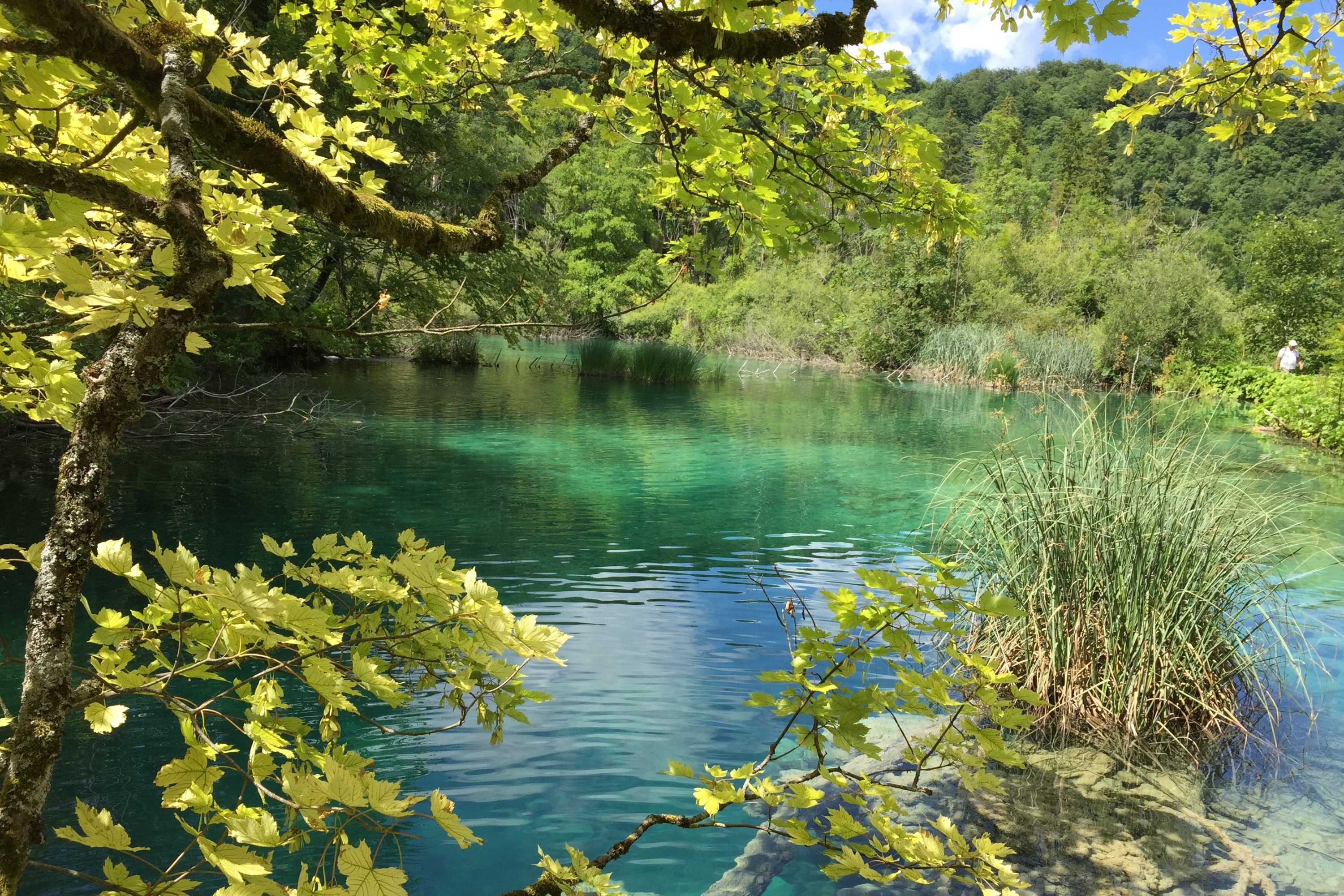 Rastoke and Plitvice Lakes Day Tour from Zagreb