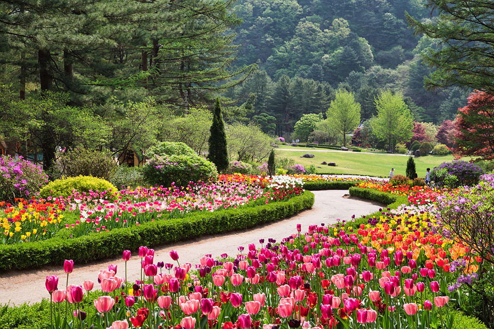 這裡有鬱金香、秋葉和冬季燈光節等季節性美景,是自然愛好者和攝影師的必遊之地。 這裡有鬱金香、秋葉和冬季燈光節等季節性美景,是自然愛好者和攝影師的必遊之地。